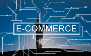 erp ecommerce